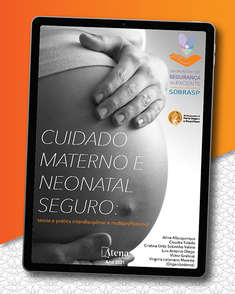 E-book Cuidado materno e neonatal seguro: teoria e prtica interdisciplinar e multiprofissional